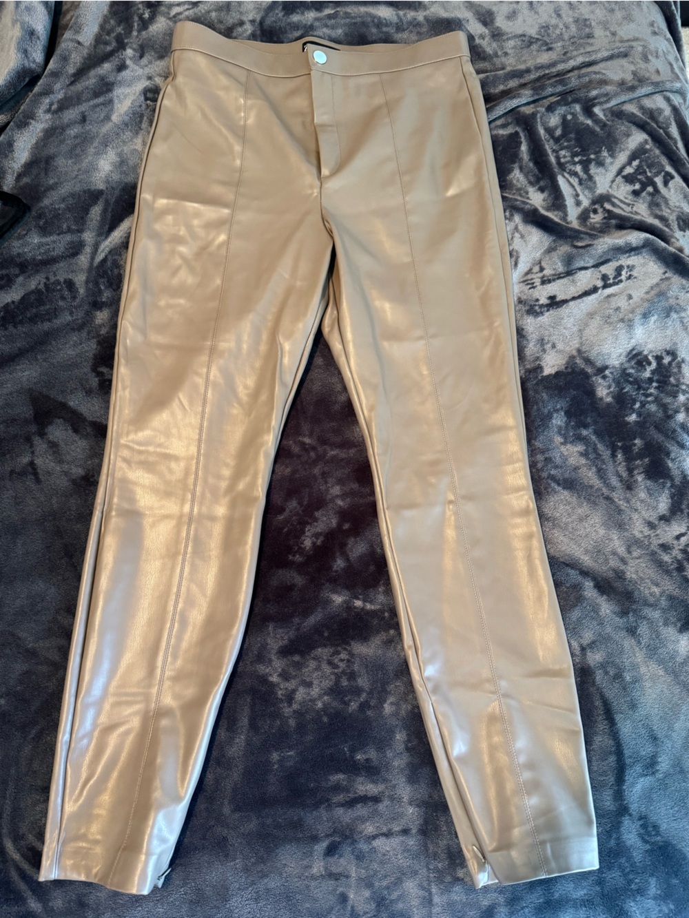 Zara Faux Leather Pants in Taupe